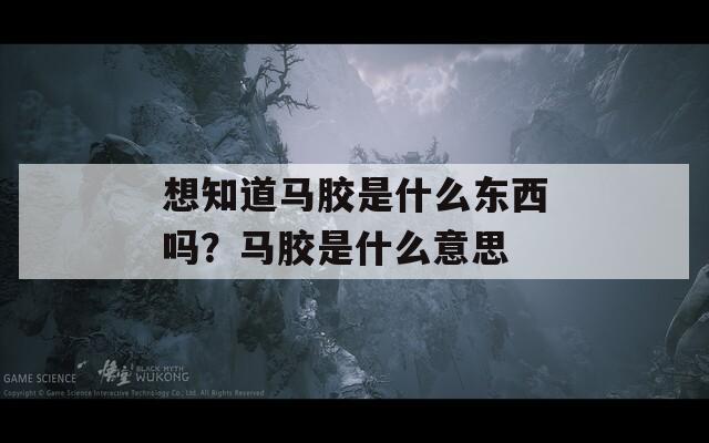 想知道马胶是什么东西吗？马胶是什么意思