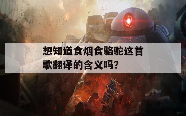 想知道食烟食骆驼这首歌翻译的含义吗？