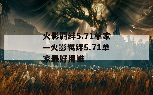 火影羁绊5.71单家—火影羁绊5.71单家最好用谁