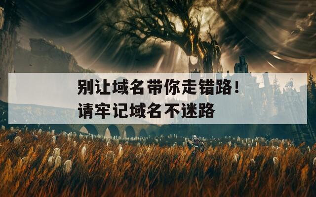 别让域名带你走错路！请牢记域名不迷路