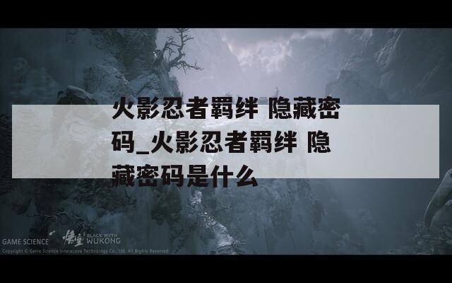 火影忍者羁绊 隐藏密码_火影忍者羁绊 隐藏密码是什么