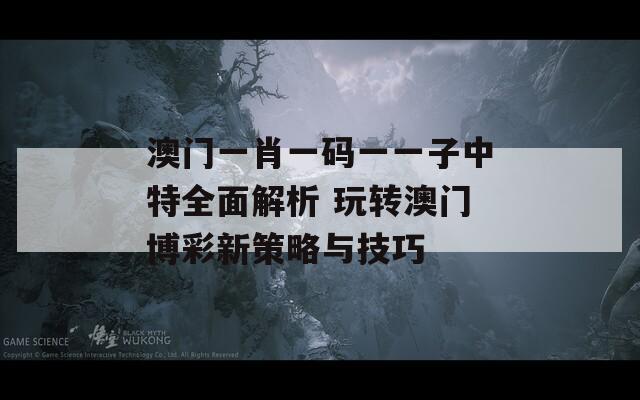 澳门一肖一码一一子中特全面解析 玩转澳门博彩新策略与技巧
