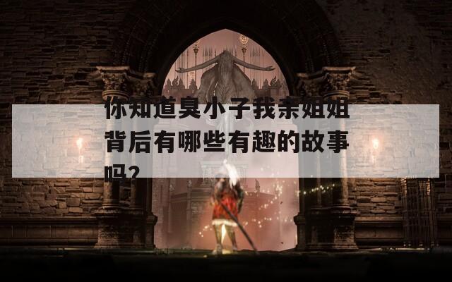 你知道臭小子我亲姐姐背后有哪些有趣的故事吗？  第1张