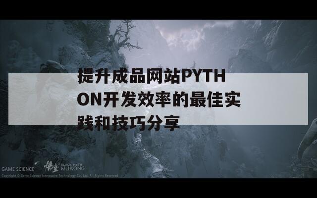 提升成品网站PYTHON开发效率的最佳实践和技巧分享
