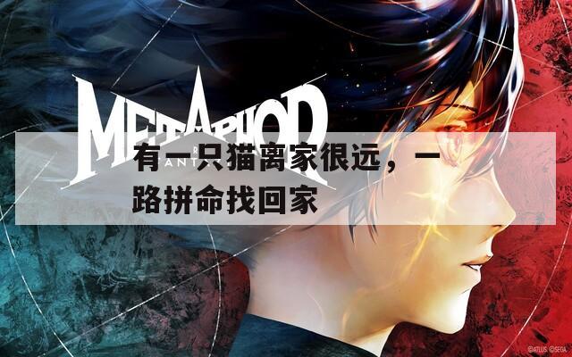 有一只猫离家很远，一路拼命找回家