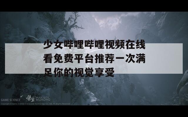 少女哔哩哔哩视频在线看免费平台推荐一次满足你的视觉享受