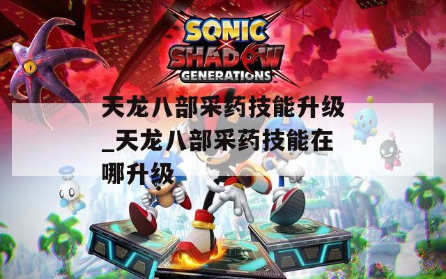 天龙八部采药技能升级_天龙八部采药技能在哪升级