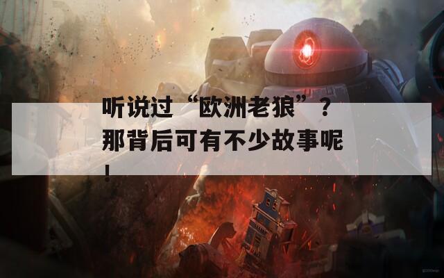 听说过“欧洲老狼”？那背后可有不少故事呢！