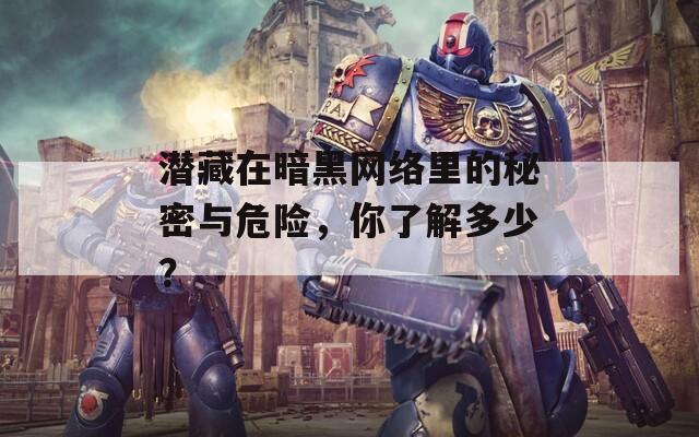 潜藏在暗黑网络里的秘密与危险，你了解多少？  第1张