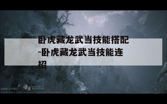 卧虎藏龙武当技能搭配-卧虎藏龙武当技能连招
