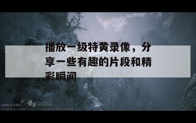 播放一级特黄录像，分享一些有趣的片段和精彩瞬间