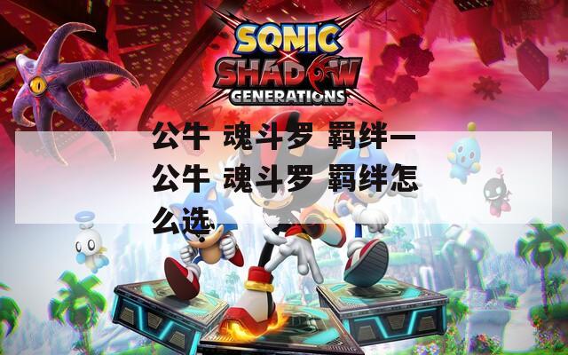公牛 魂斗罗 羁绊—公牛 魂斗罗 羁绊怎么选