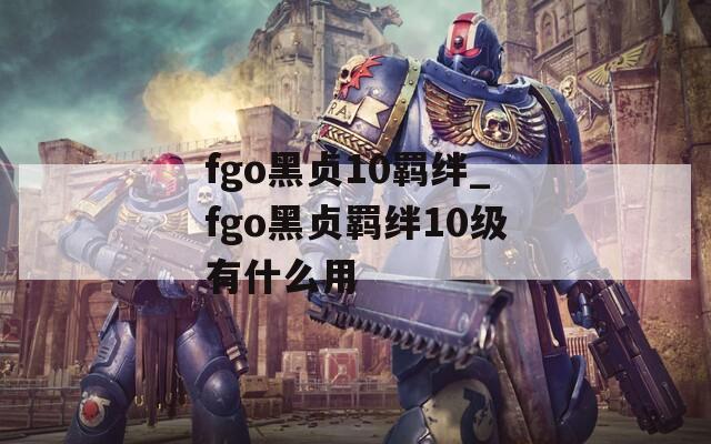 fgo黑贞10羁绊_fgo黑贞羁绊10级有什么用