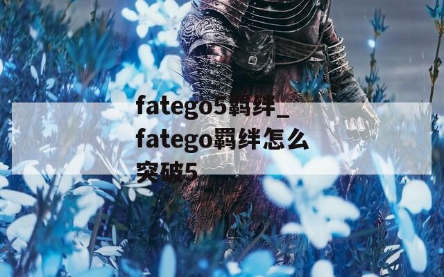 fatego5羁绊_fatego羁绊怎么突破5