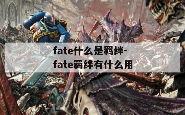 fate什么是羁绊-fate羁绊有什么用  第1张