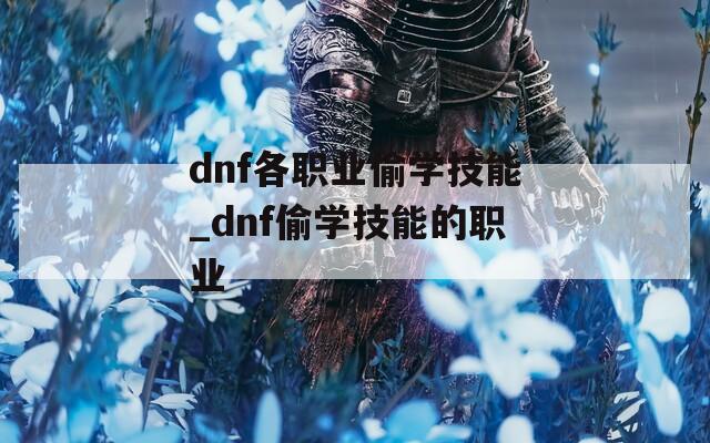 dnf各职业偷学技能_dnf偷学技能的职业