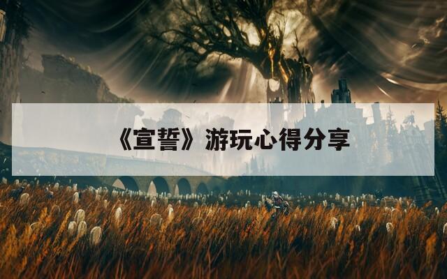 《宣誓》游玩心得分享