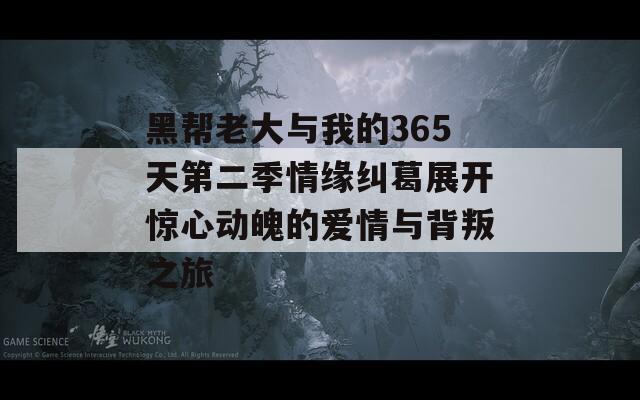 黑帮老大与我的365天第二季情缘纠葛展开惊心动魄的爱情与背叛之旅  第1张