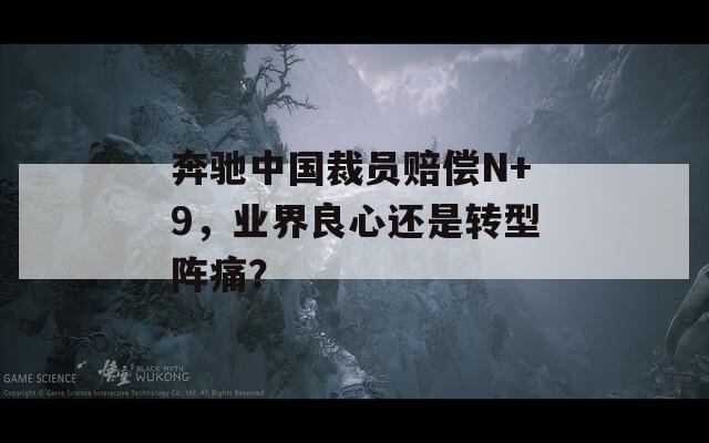 奔驰中国裁员赔偿N+9，业界良心还是转型阵痛？  第1张