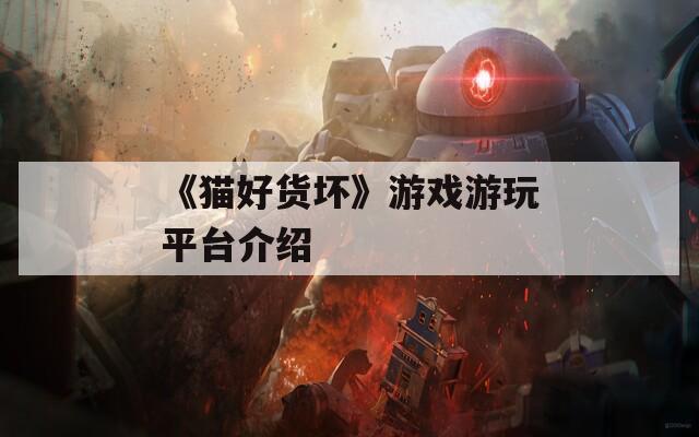 《猫好货坏》游戏游玩平台介绍