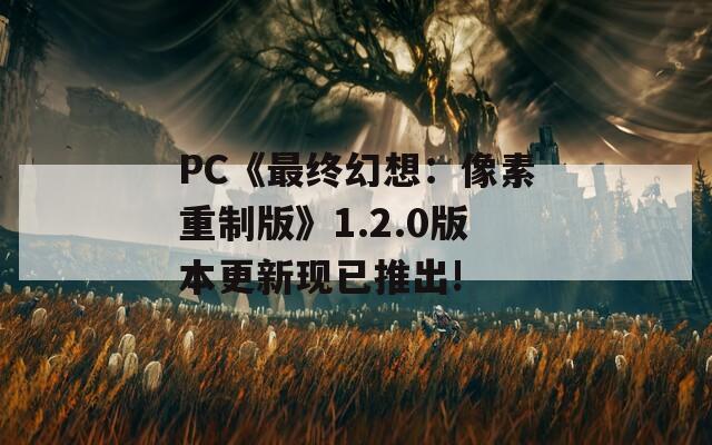 PC《最终幻想：像素重制版》1.2.0版本更新现已推出!  第1张