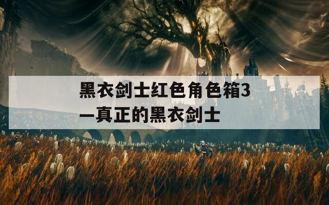 黑衣剑士红色角色箱3—真正的黑衣剑士