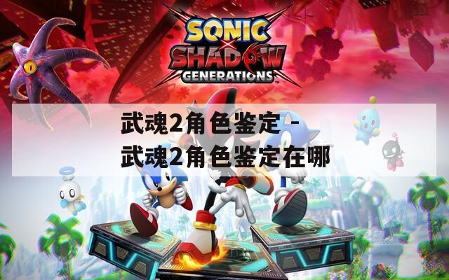 武魂2角色鉴定 - 武魂2角色鉴定在哪  第1张