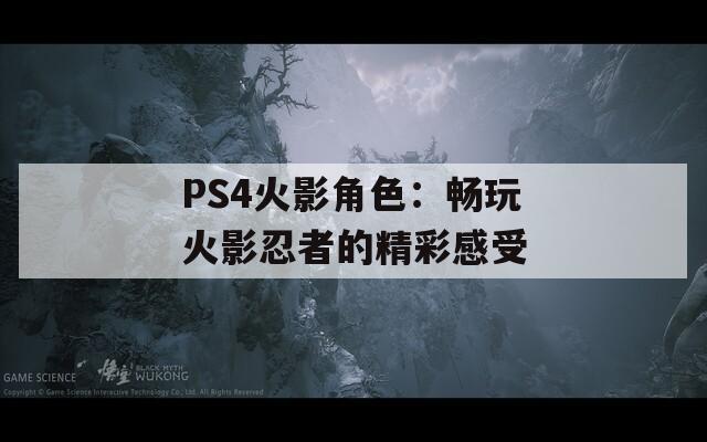 PS4火影角色：畅玩火影忍者的精彩感受