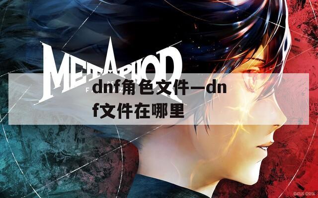 dnf角色文件—dnf文件在哪里  第1张